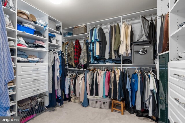 19009 Old Baltimore Rd, Brookeville, MD 20833 - walk in closet with carpet floors