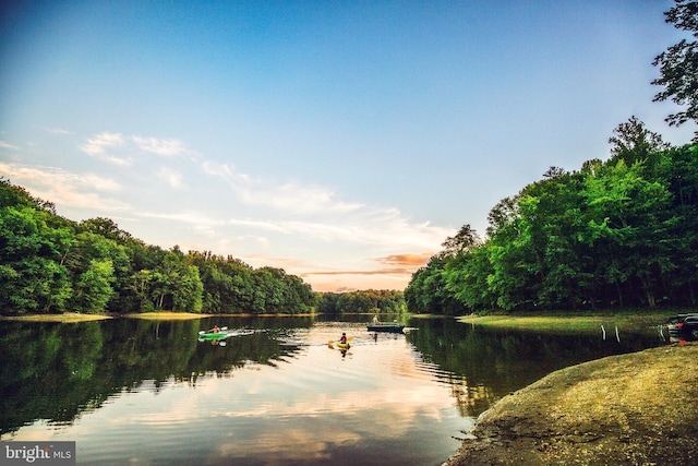 19009 Old Baltimore Rd, Brookeville, MD 20833 - property view of water with a wooded view