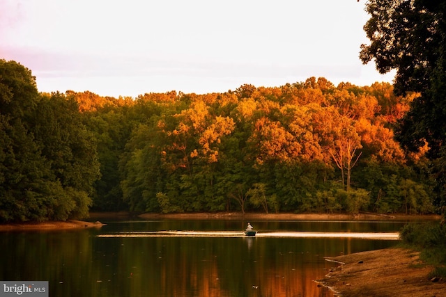 19009 Old Baltimore Rd, Brookeville, MD 20833 - property view of water featuring a view of trees