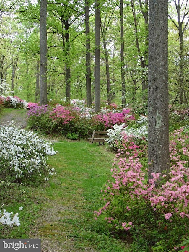 19009 Old Baltimore Rd, Brookeville, MD 20833 - view of yard