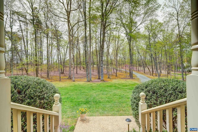 4045 Buck Island Rd, Charlottesville, VA 22902 - view of yard