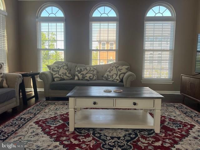 living room featuring baseboards, wood finished floors, and a healthy amount of sunlight