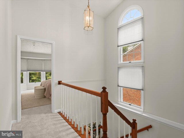 2828 Quarry Heights Way, Baltimore, MD 21209 - hall with healthy amount of natural light, an upstairs landing, and carpet flooring