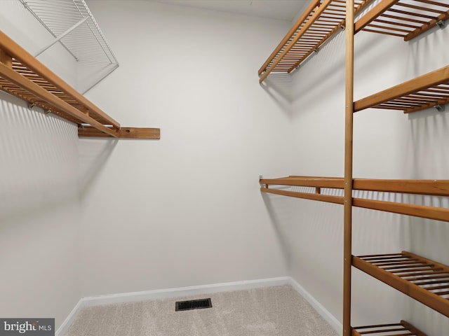 2828 Quarry Heights Way, Baltimore, MD 21209 - walk in closet with carpet flooring