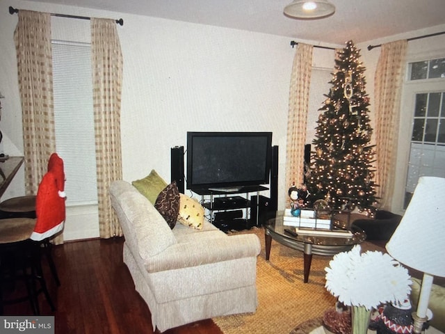 living area with wood finished floors