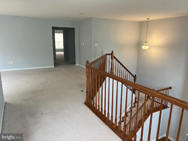 16258 John Rowland Trl, Milton, DE 19968 - stairs with carpet floors and baseboards