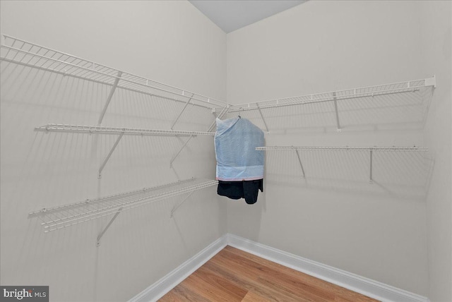 walk in closet featuring wood finished floors