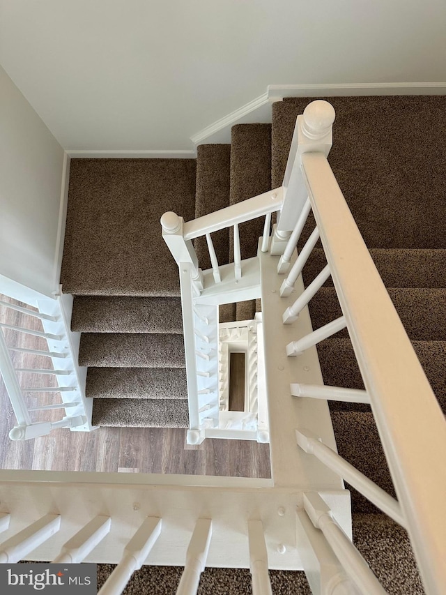 view of stairs