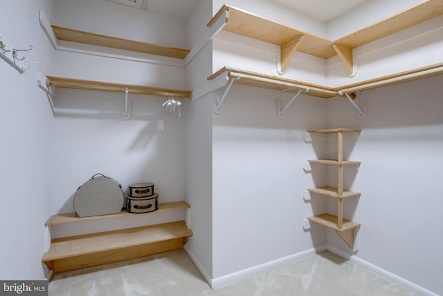 8604 Tobin Rd, Annandale, VA 22003 - spacious closet with carpet