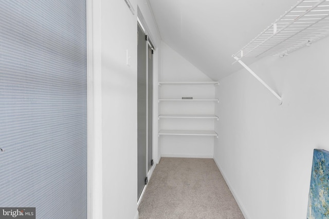 spacious closet with vaulted ceiling and carpet floors