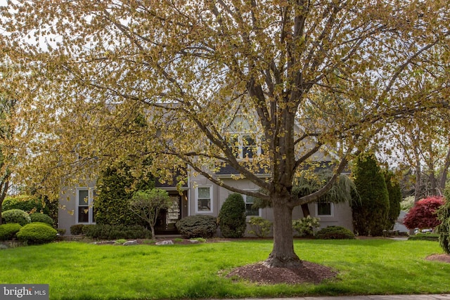 view of property hidden behind natural elements featuring stucco siding and a front yard