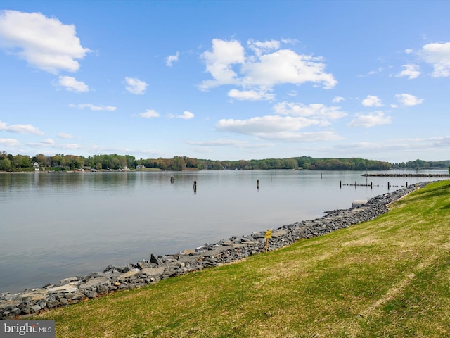504 Moorings Cir, Arnold, MD 21012 - property view of water
