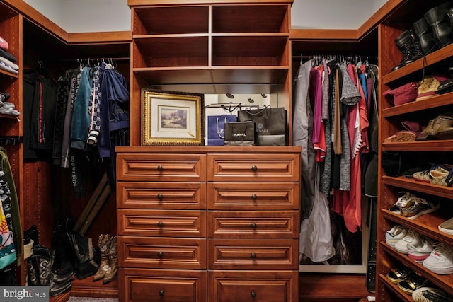 view of walk in closet