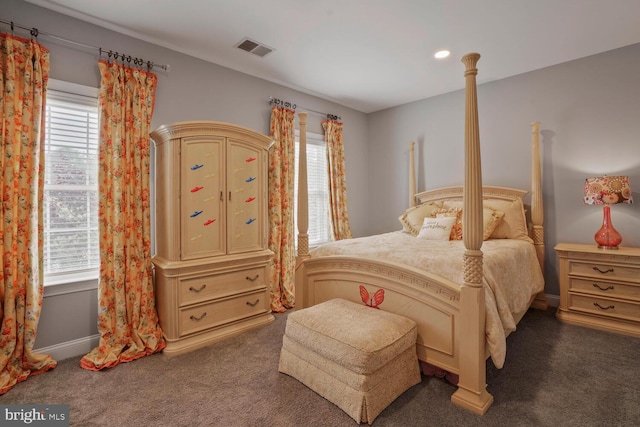 carpeted bedroom with multiple windows