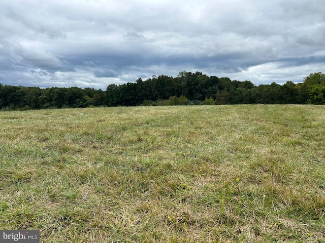 view of landscape featuring a rural view and a wooded view