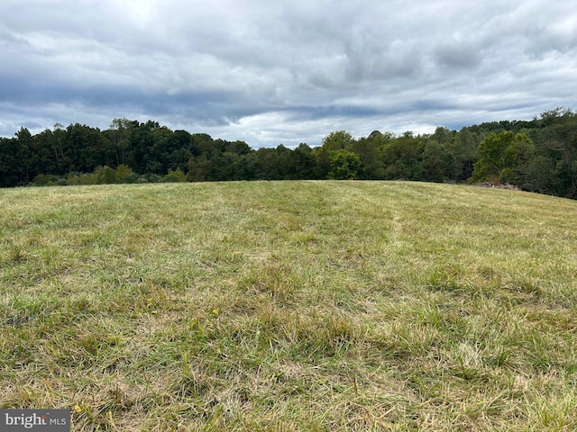 view of local wilderness with a rural view and a wooded view