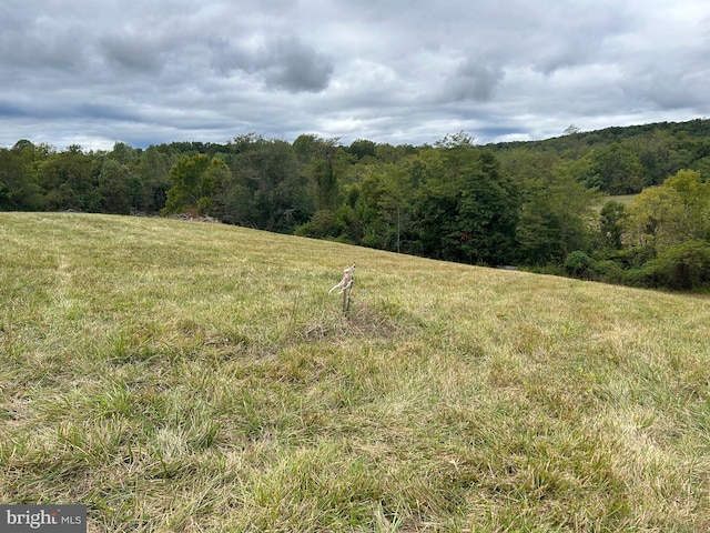 view of nature with a wooded view