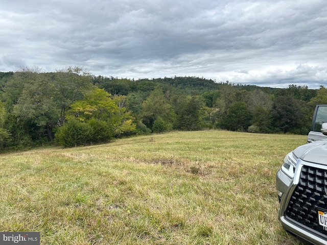 view of yard featuring a view of trees