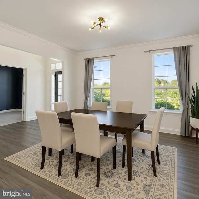 dining room with a healthy amount of sunlight, ornamental molding, wood finished floors, and a chandelier