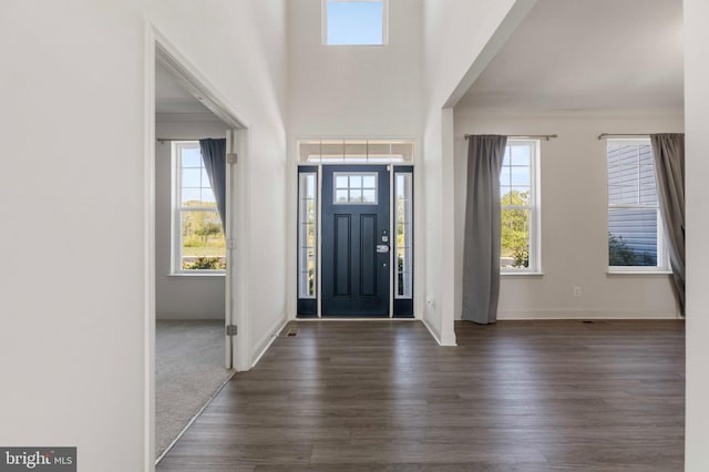 entrance foyer with plenty of natural light, baseboards, and wood finished floors