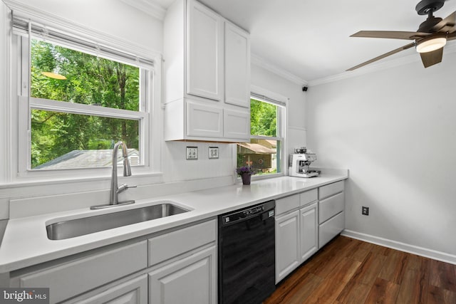 1826 Hylton Ave, Woodbridge, VA 22191 - kitchen featuring dishwasher, a sink, crown molding, and white cabinetry