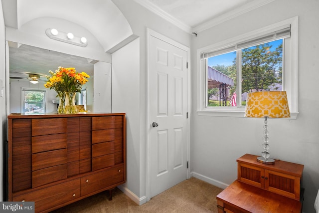 1826 Hylton Ave, Woodbridge, VA 22191 - sitting room featuring carpet, baseboards, plenty of natural light, crown molding, and ceiling fan