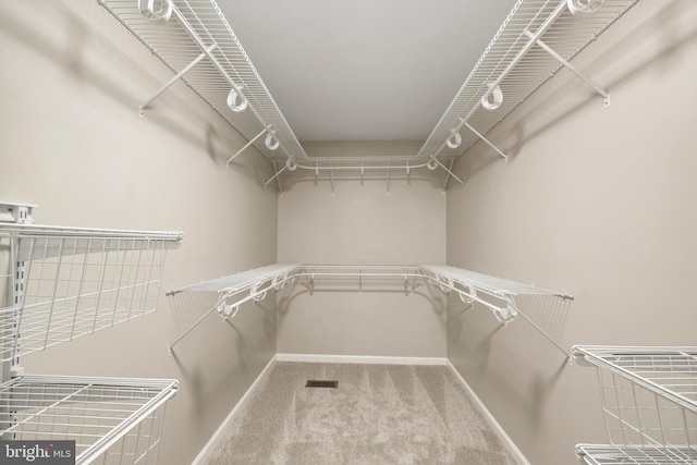 7883 Leroux Ln, Manassas, VA 20112 - spacious closet with carpet floors