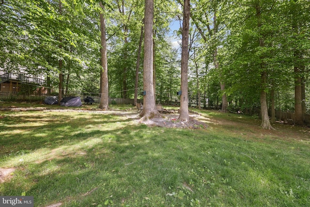 7883 Leroux Ln, Manassas, VA 20112 - view of yard