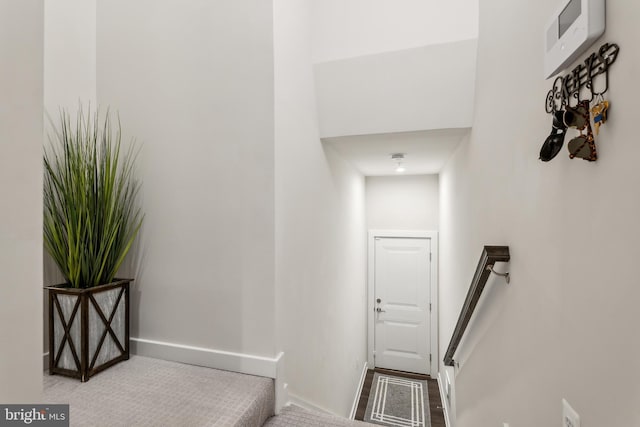 stairway featuring carpet and baseboards