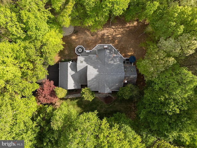bird's eye view