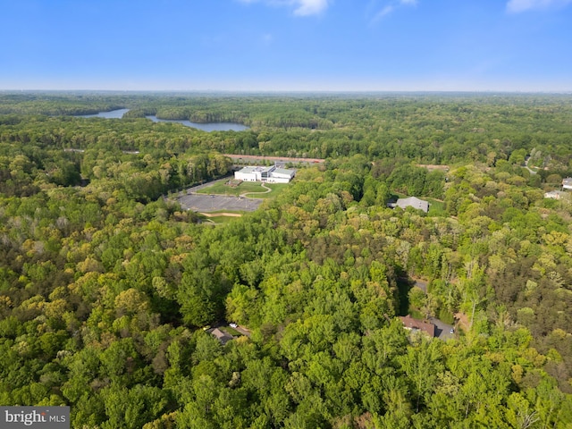 bird's eye view with a water view and a view of trees