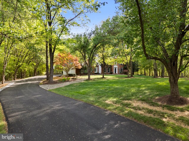 view of front facade with driveway and a front yard