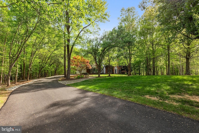 view of street featuring aphalt driveway