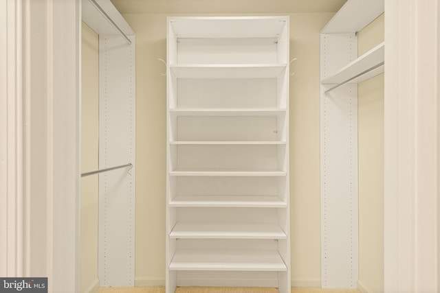 view of walk in closet