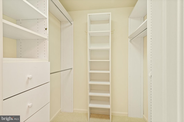spacious closet with carpet flooring