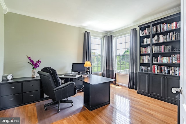 home office with crown molding, baseboards, and wood finished floors