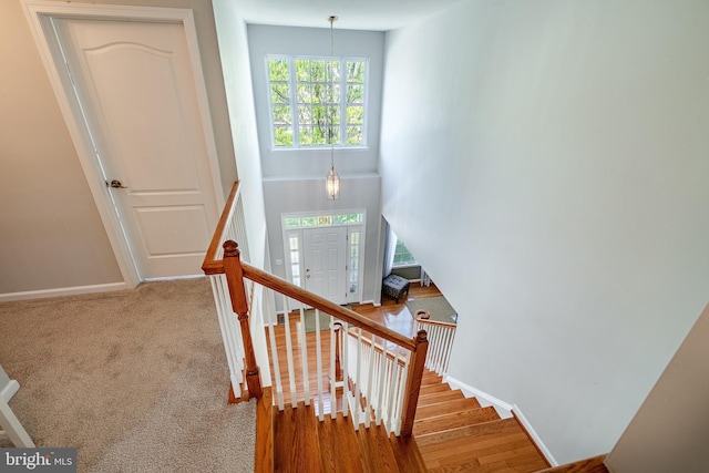 staircase with baseboards and wood finished floors