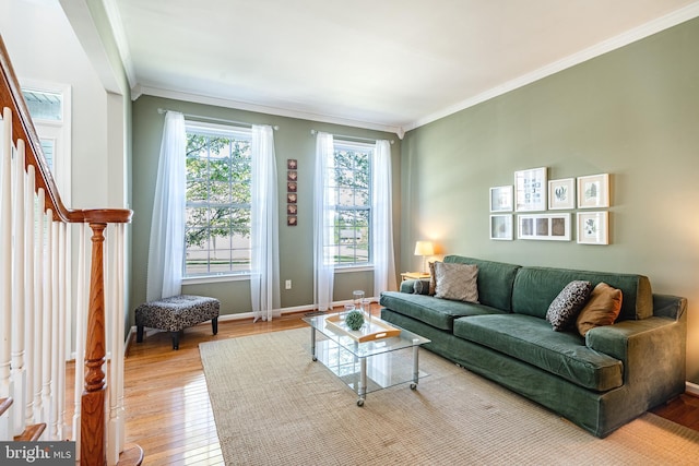 living area featuring crown molding, baseboards, and wood finished floors