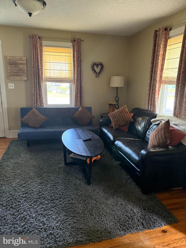 living room with wood finished floors and a textured ceiling