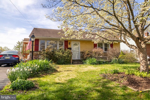 view of front of house featuring a front lawn and stone siding