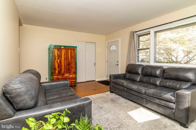 living area with baseboards and wood finished floors