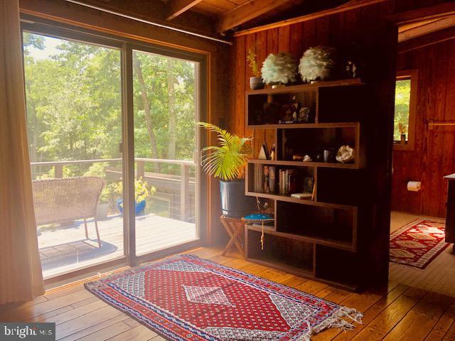 entryway with wooden walls, plenty of natural light, and hardwood / wood-style floors