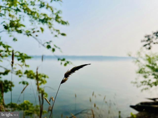 property view of water