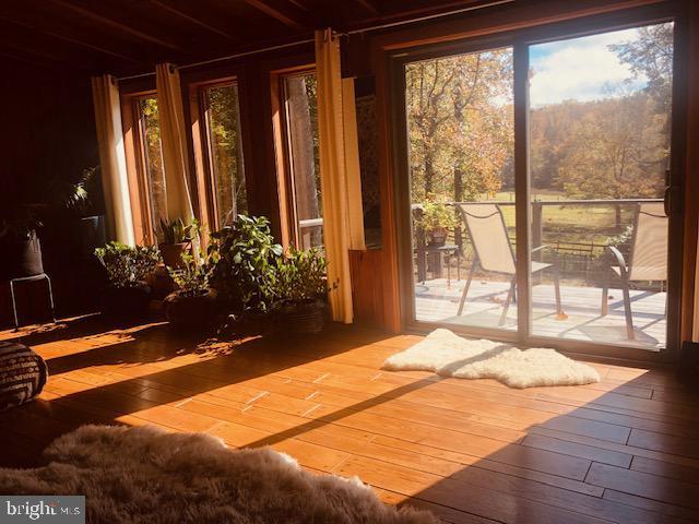 doorway with a wealth of natural light and hardwood / wood-style flooring