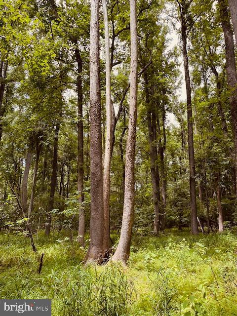 view of landscape with a forest view