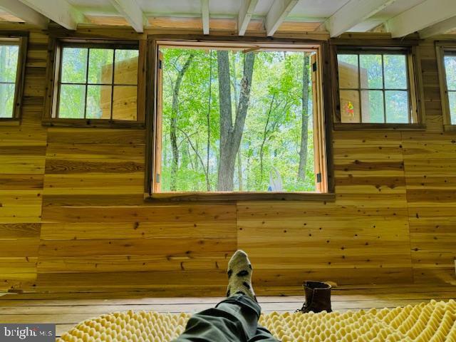 interior space with wood walls