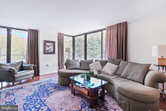 4200 Massachusetts Ave NW Unit 106, Washington, DC 20016 - living room with a wall of windows, ornamental molding, plenty of natural light, and wood finished floors