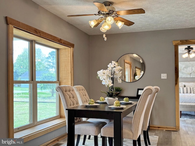 18855 Wicomico River Dr, Cobb Island, MD 20625 - dining area with a textured ceiling, light wood-style flooring, a healthy amount of sunlight, and a ceiling fan