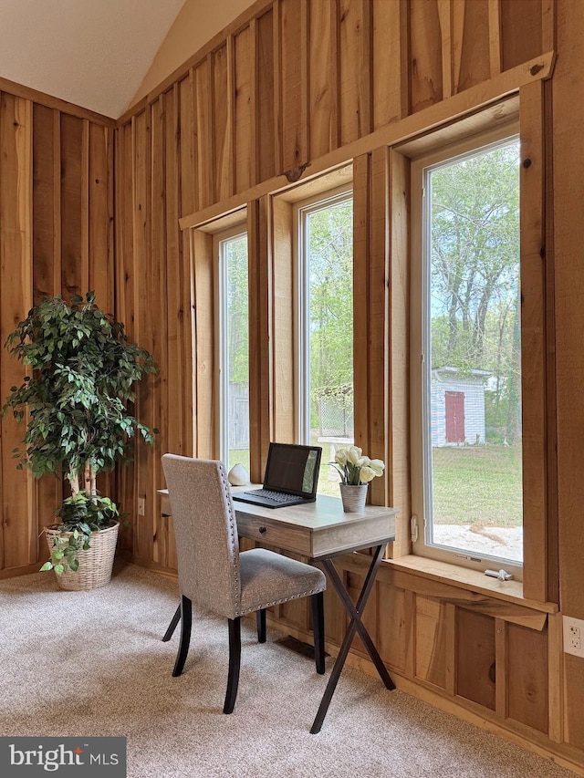 18855 Wicomico River Dr, Cobb Island, MD 20625 - office with light carpet, vaulted ceiling, wooden walls, and a wealth of natural light