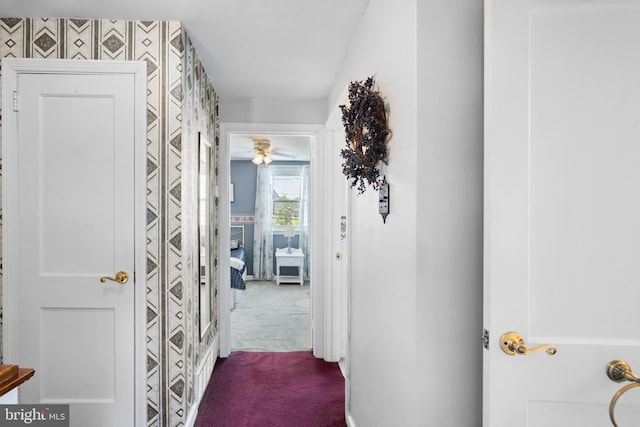 corridor featuring carpet floors